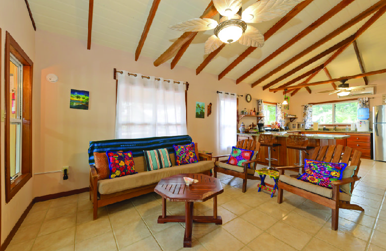 Living Room with Handcrafted Furniture