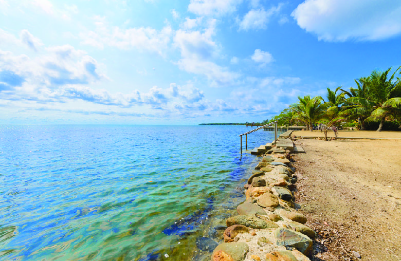 Steps into Caribbean