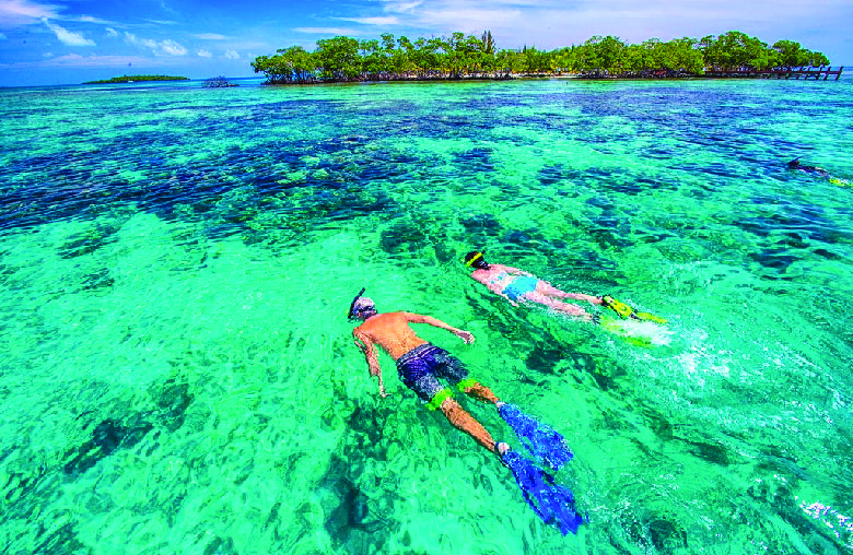 Dive & Snorkel in the Clear Warm Caribbean