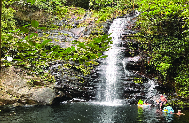 Refreshing Jungle Waterfalls